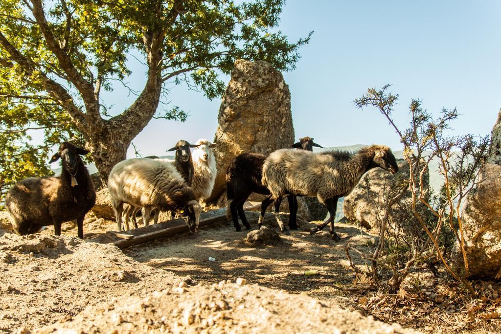La Taverna Dei Briganti Hotel Cotronei Екстериор снимка